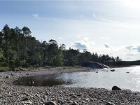 Малый Медведок: белухи, морские зайцы и зубатка-змеюка
