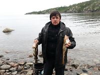 Малый Медведок: белухи, морские зайцы и зубатка-змеюка