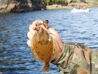 Осечкова губа вместо Сонострова: погода, баня и везение