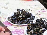 Осечкова губа вместо Сонострова: погода, баня и везение