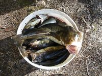 Фотографии пришли: немного задержался