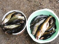 Фотографии пришли: немного задержался