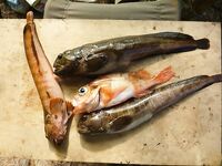 Фотографии пришли: немного задержался