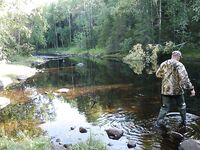 Фотографии пришли: немного задержался