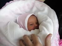 Наша внучка в кадре: семейный штрих к поездке