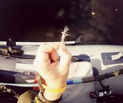 Никольская губа, бухта Круглая: ПВХ 5–20 л.с., опреснение и уловы