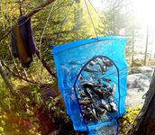 Никольская губа, бухта Круглая: ПВХ 5–20 л.с., опреснение и уловы