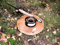 Наша пятёрка в Круглой бухте: еда, роли и немного грибов