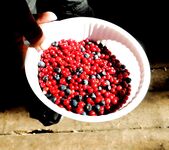 Наша пятёрка в Круглой бухте: еда, роли и немного грибов