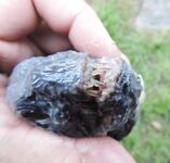 Белое море, треска без бонусов: уха, печень, копчение и салат