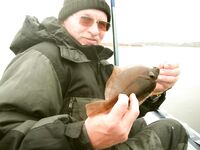 Кереть, ручьи и форель: корчак, колючки и редкая камбалка