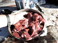 Дичь на стоянке: рябчик и вальдшнеп, шурпа и копчёное