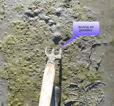 Кованный поморский инструмент из Чупы — находка с истории