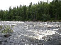 Белое море, Чупа — прочитал ветку и прошу принять в «заболевшие»