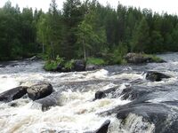 Белое море, Чупа — прочитал ветку и прошу принять в «заболевшие»