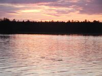 Белое море, Чупа — прочитал ветку и прошу принять в «заболевшие»