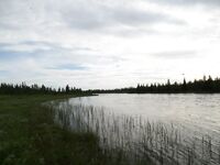 Север Карелии — фото путешествий, Умба и лето 2014 в кадре