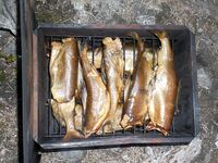 Карелия — беречь места: без браконьерки и без мусора, иначе никак