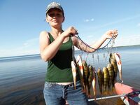 Канозеро рядом: не совсем про Чупу, но фото с мыльницы и комары