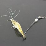 Белое море, тресковые «снасточки» с Мурманского — кто пользовал