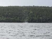 Белое море, Карелия — на базе пусто и погода «жесть», контакт не сохраняю