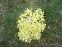 Белое море, Карелия — попытка загрузки, дубль по материалам