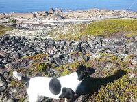 Белое море, Карелия — пустая строка как маркер без отчёта