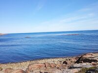 Белое море, Карелия — пустая строка как маркер без отчёта