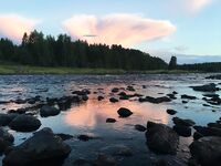 Кереть, 31.07–04.08: джиг 28–40 г, родник у Пежострова и Соколка