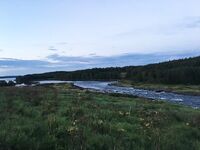 Кереть, 31.07–04.08: джиг 28–40 г, родник у Пежострова и Соколка