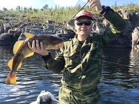 Карелия, блок «Рыбалка»: виброхвост найден в желудке трески