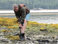 Белое море, губа — 26.07–06.08: треска до 2 кг, камбала и ягоды