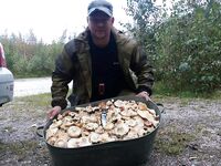 Карелия, не ругайтесь — грибы, кряква и день без выстрелов в лесу