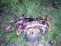 Карелия, тишина и погода — рыбалка завтра, сегодня прогулка с ружьём