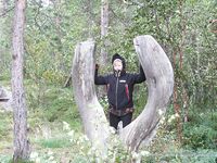 Чупа, Красная губа — жара, вода 21°С и раттлины по треске