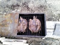 Чупа, Красная губа — жара, вода 21°С и раттлины по треске