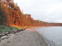 Чупа, Красная губа — жара, вода 21°С и раттлины по треске