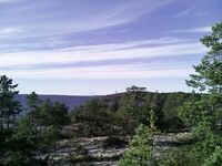 Чупа, Красная губа — жара, вода 21°С и раттлины по треске