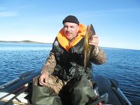 Чупа, Красная губа — жара, вода 21°С и раттлины по треске