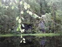 Карелия, Чупа — пустые озёра и следы медведя у цепочки в конце губы