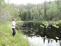 Белое море, Карелия — «мёртвые ламбы» и рабочая протока с окунем