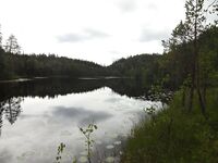 Белое море, Карелия — «мёртвые ламбы» и рабочая протока с окунем