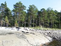 Стоянка с каркасом бани: где именно стояли, есть фото из леска