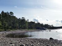 Стоянка с каркасом бани: где именно стояли, есть фото из леска