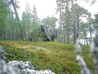 Изба лучше палатки: мошка не лезет, лаврушка на фидер и мечты о Кольском