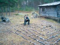 Чупа, Чкаловские острова: ещё немного «потревожить душу» фото