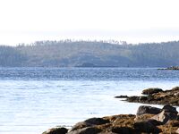 Глубины и камни: у мужиков поплавки «правильные», шутка понятна