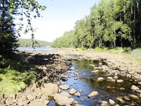 Про «реки» на месте: ширина полтора-два метра, глубина до 20 см