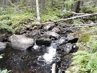 Река Никольская в межень: для наглядности о низкой воде