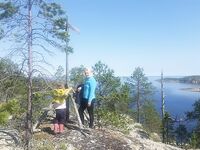 Никольская — Пежостров — Сидоров: белухи, мелко в отлив между Кишкиным и Керетью